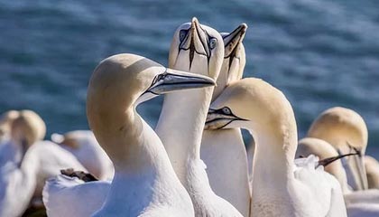 央视揭秘，低价体验课背后的陷阱与真相大起底！