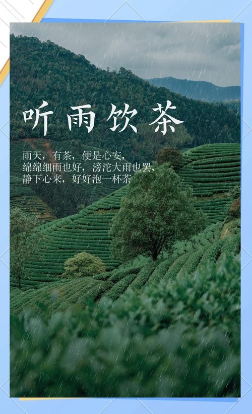 细雨蒙胧中的茶香与青石板的温柔邕遇，一抹静谧的时光之旅。